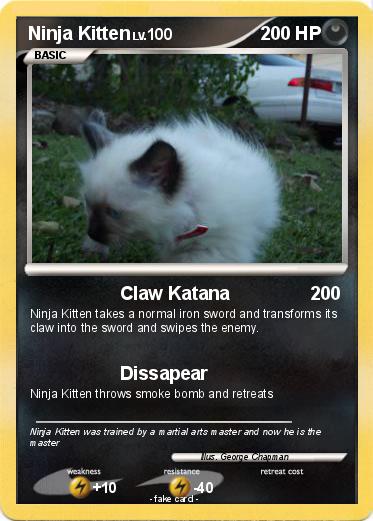 Pokemon Ninja Kitten