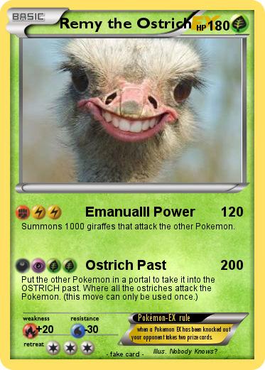 Pokemon Remy the Ostrich