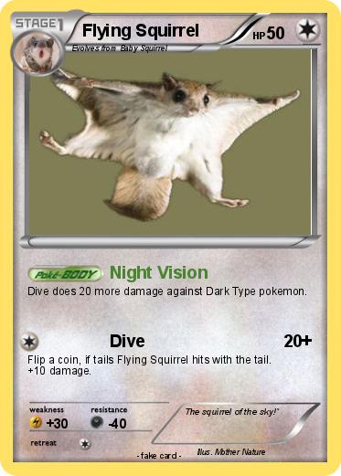 Pokemon Flying Squirrel