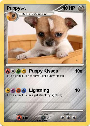Pokemon Puppy