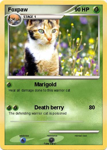Pokemon Foxpaw