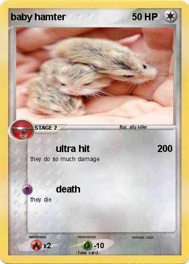Pokemon baby hamter