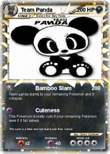 Pokemon Team Panda
