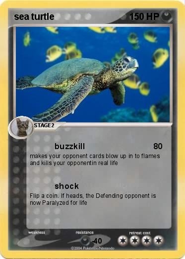 Pokemon sea turtle