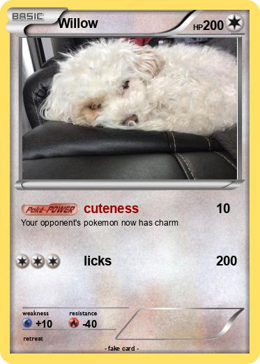 Pokemon Willow