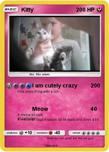 Pokemon Kitty