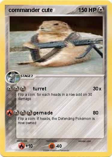 Pokemon commander cute