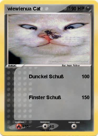 Pokemon wiewienua Cat