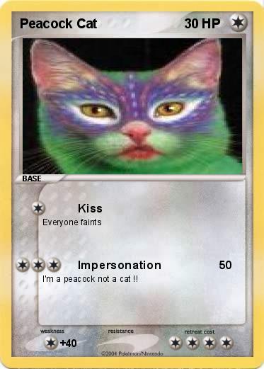 Pokemon Peacock Cat