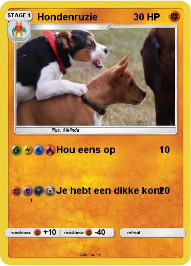 Pokemon Hondenruzie