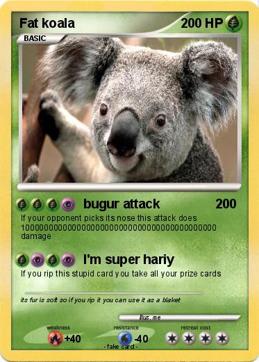 Pokemon Fat koala