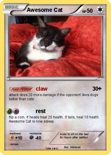 Pokemon Awesome Cat