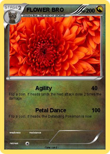 Pokemon FLOWER BRO
