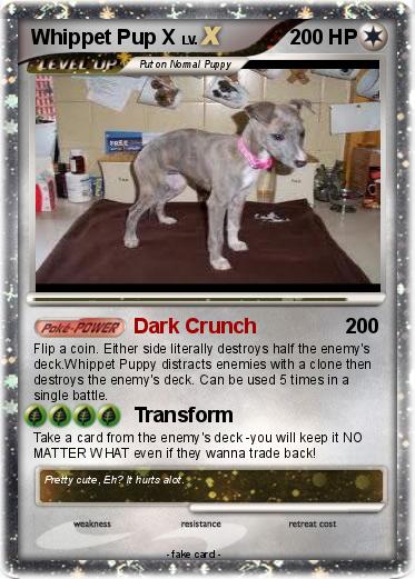 Pokemon Whippet Pup X