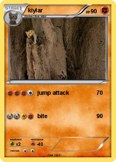 Pokemon kiylar