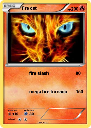 Pokemon fire cat