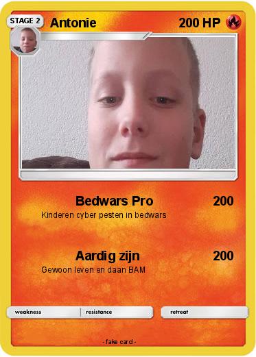 Pokemon Antonie