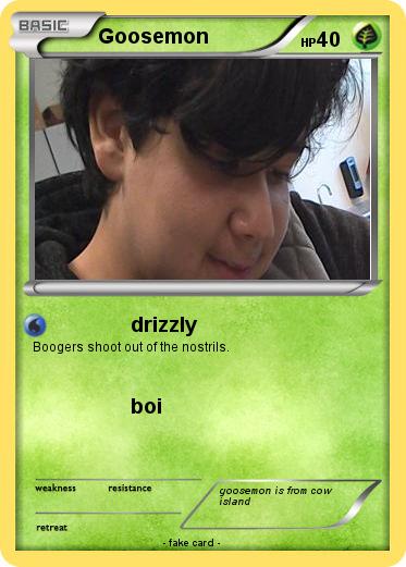 Pokemon Goosemon