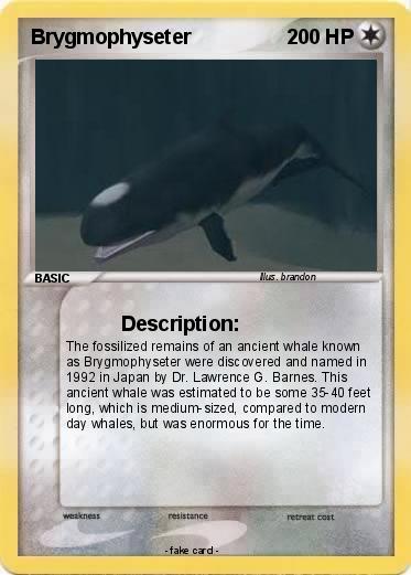 Pokemon Brygmophyseter