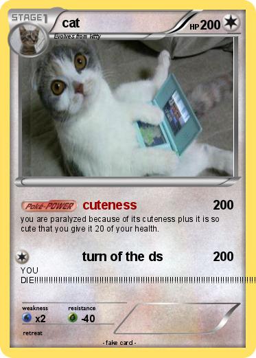 Pokemon cat
