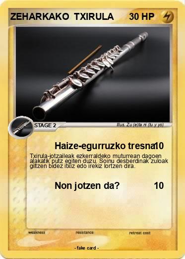Pokemon ZEHARKAKO  TXIRULA
