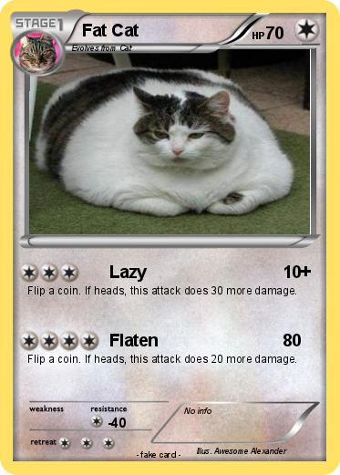 Pokemon Fat Cat