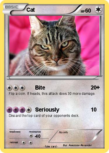 Pokemon Cat