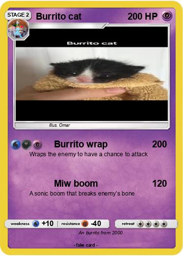 Pokemon Burrito cat