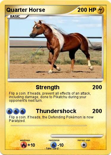 Pokemon Quarter Horse