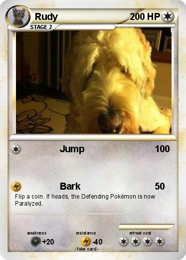 Pokemon Rudy