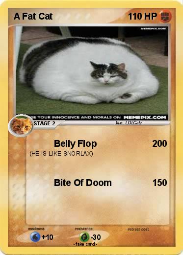 Pokemon A Fat Cat