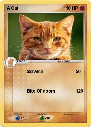 Pokemon A Cat