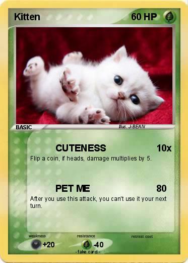 Pokemon Kitten