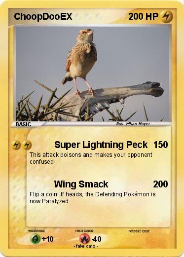 Pokemon ChoopDooEX