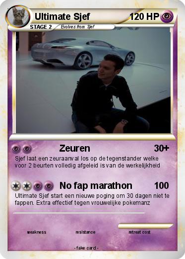 Pokemon Ultimate Sjef