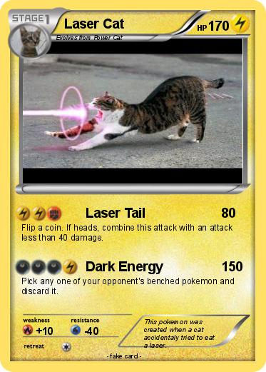 Pokemon Laser Cat