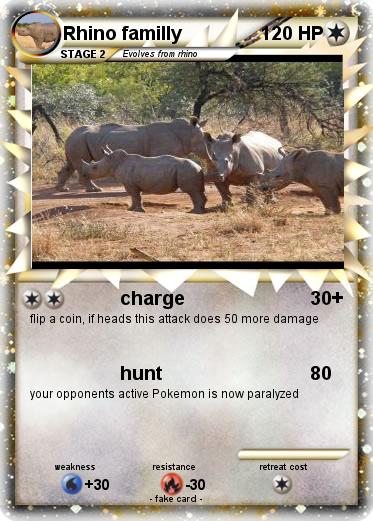 Pokemon Rhino familly