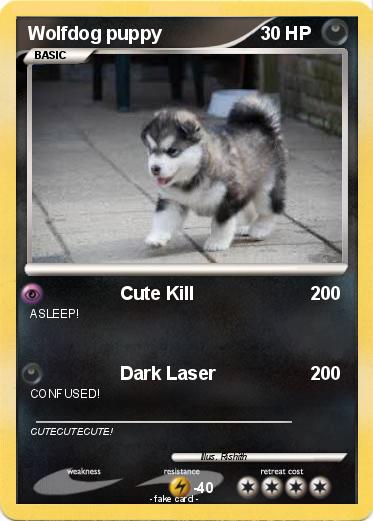 Pokemon Wolfdog puppy