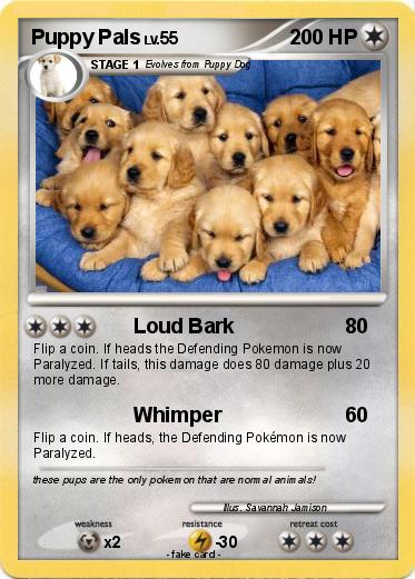 Pokemon Puppy Pals