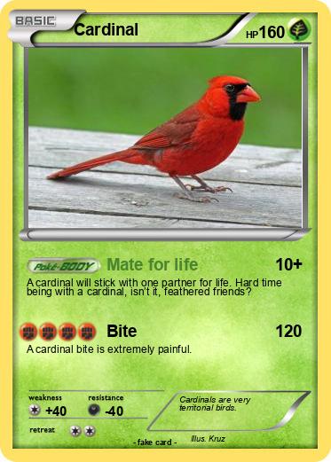 Pokemon Cardinal