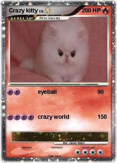 Pokemon Crazy kitty