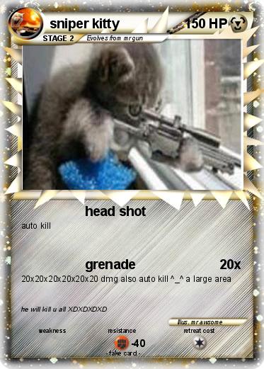 Pokemon sniper kitty
