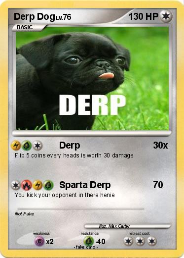 Pokemon Derp Dog