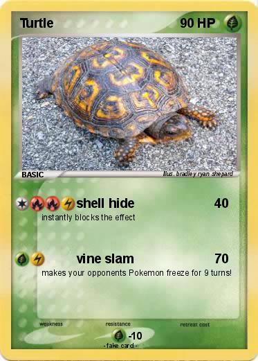Pokemon Turtle