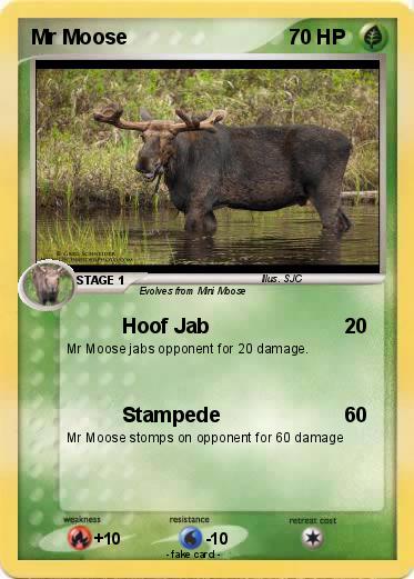 Pokemon Mr Moose