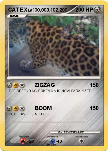 Pokemon CAT EX
