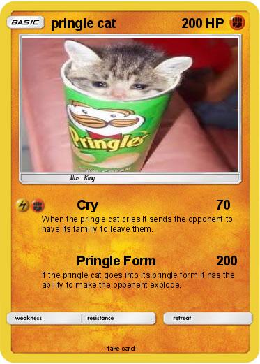 Pokemon pringle cat