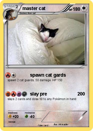 Pokemon master cat