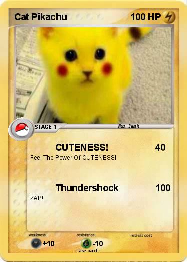 Pokemon Cat Pikachu