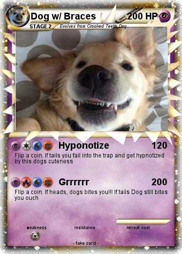 Pokemon Dog w/ Braces